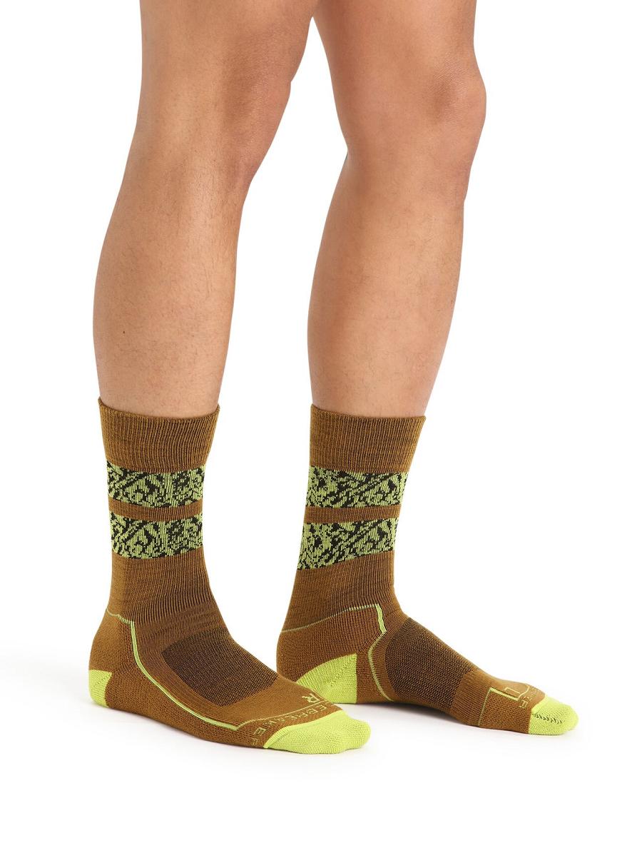 Clove / Shine Icebreaker Merino Hike+ Light Crew Natural Summit Men's Socks | AU 1007VRWD